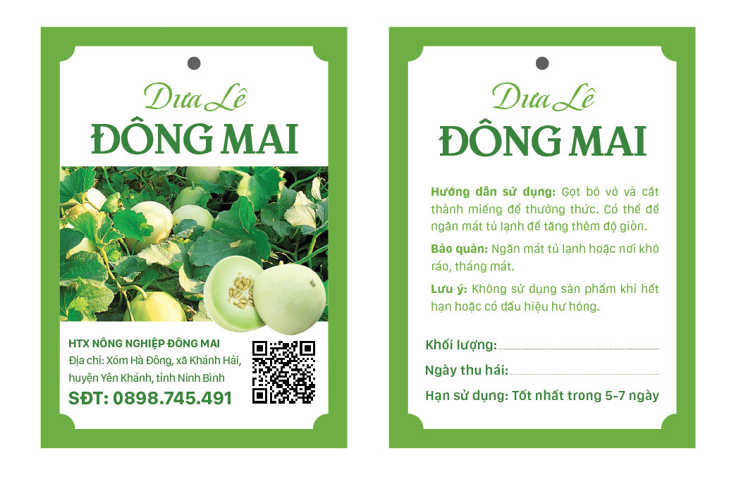 Dưa lê siêu ngọt, cà chua, bí xanh
